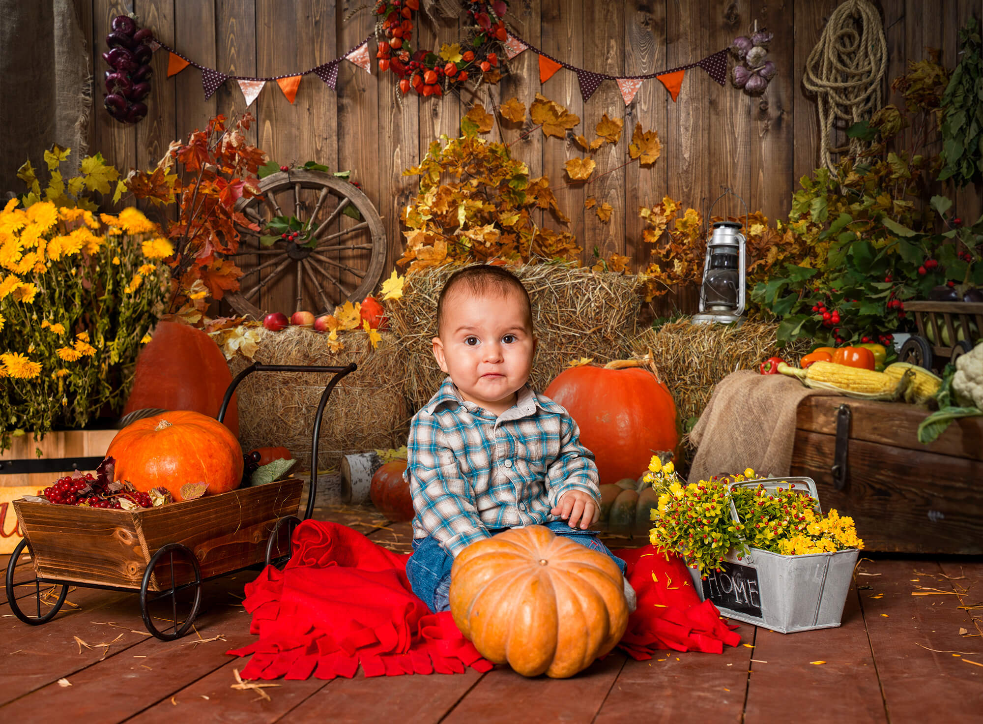 Herbst-Heu-Kürbis-Fotografie-Hintergrund SH-1008