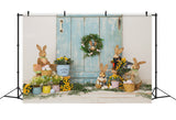 Ostern Kaninchen Eier Korb Hintergrund für Fotoaufnahmen SH-824