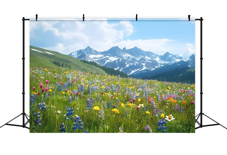 Frühlings-Hintergrundbilder Wildblumen-Wiese Bergblick Hintergrund TWW2-32