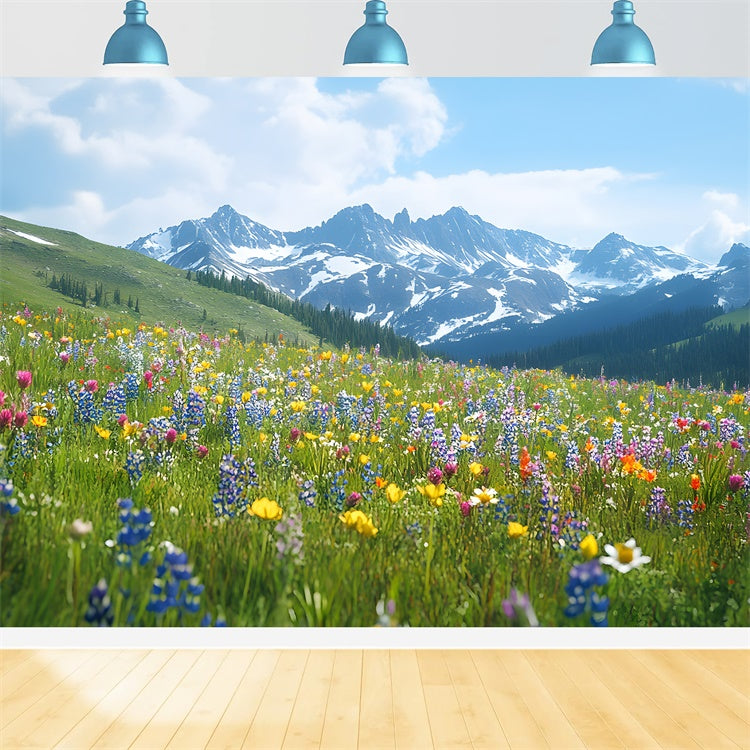 Frühlings-Hintergrundbilder Wildblumen-Wiese Bergblick Hintergrund TWW2-32