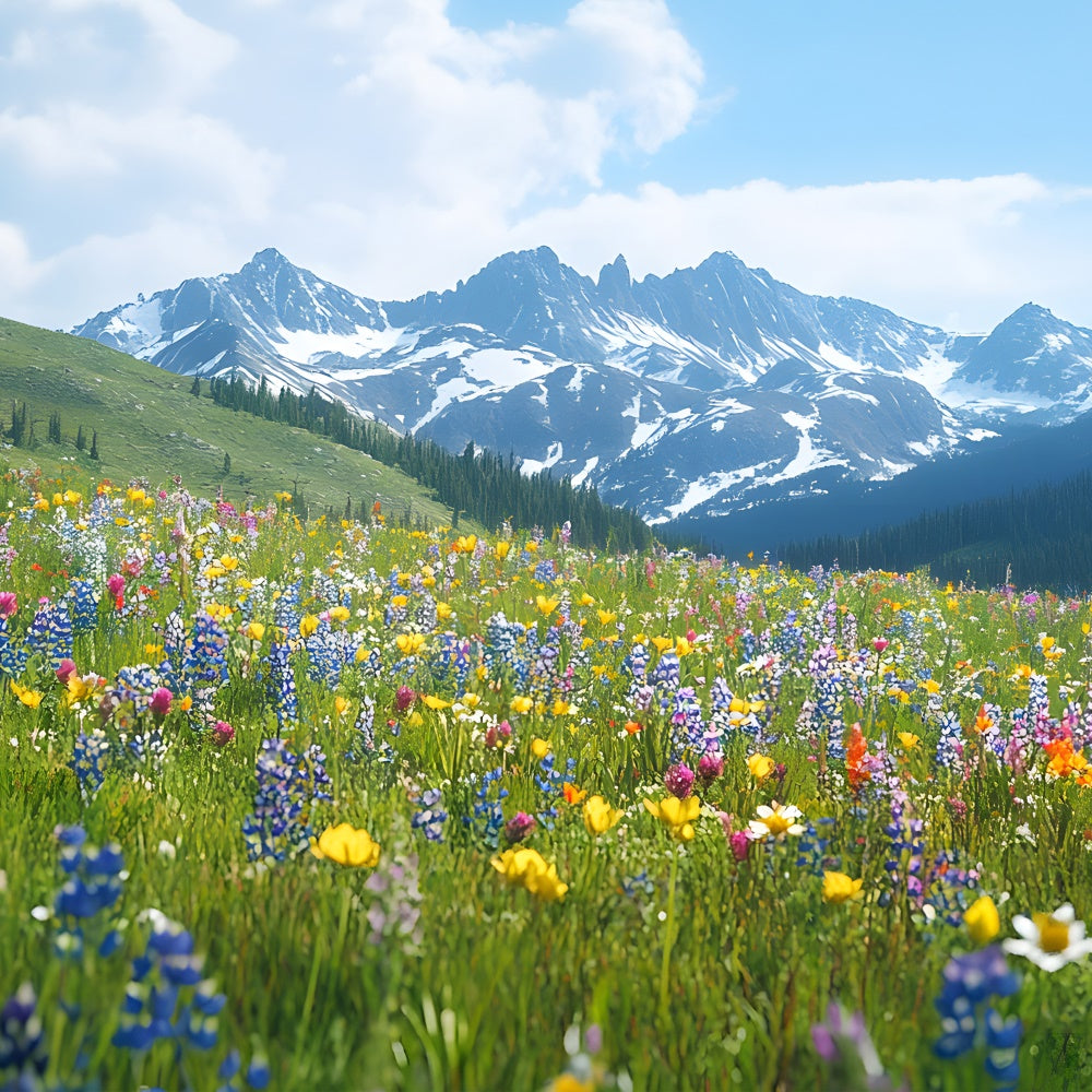 Frühlings-Hintergrundbilder Wildblumen-Wiese Bergblick Hintergrund TWW2-32