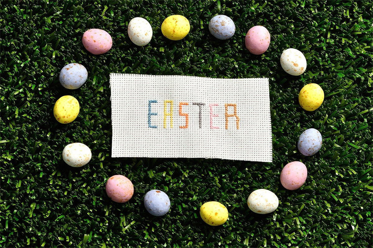 Ostern Fotohintergrund Vintage Kreuzstich Ei Hintergrund TWW3-24