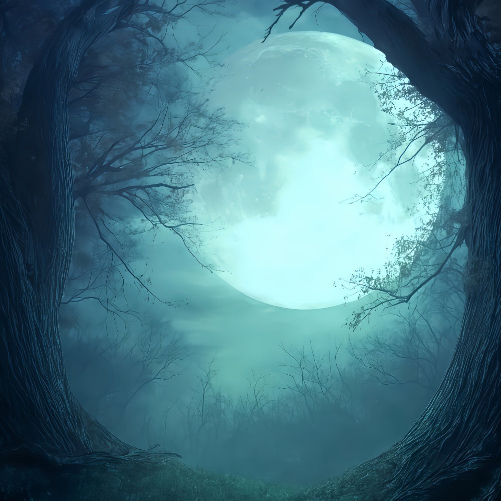 Halloween-Mond-Hintergrund Mondbeschienener Wald D?mmerungsgl¨¹hen Gruseliger Halloween-Hintergrund TWW510-28