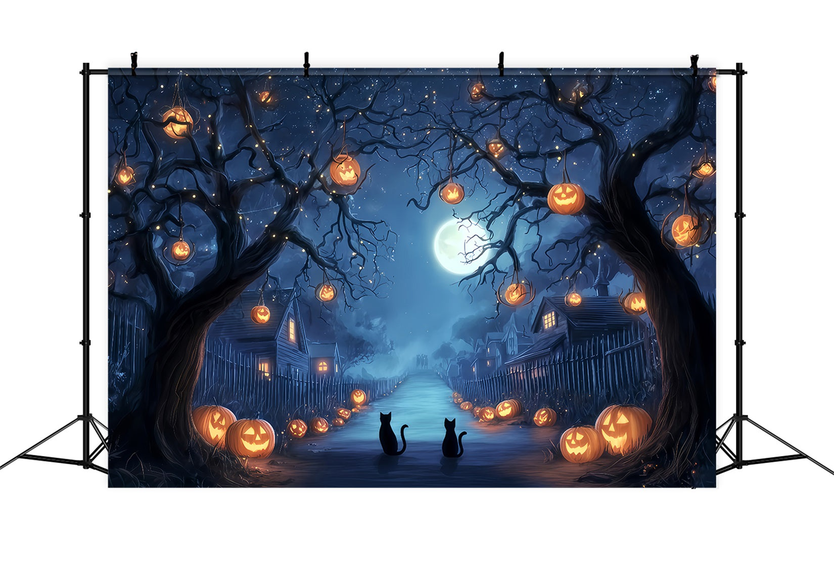 Halloween-Farbenhintergrund Kürbisallee Mitternachtskatzen Gruseliger Halloween-Hintergrund TWW510-38