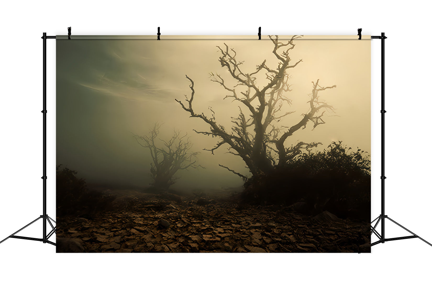 Spukwald-Hintergrund Nebliges Feld mit toten B?umen Halloween-Hintergrund TWW510-41