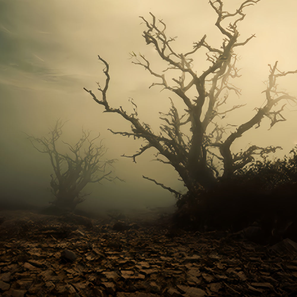 Spukwald-Hintergrund Nebliges Feld mit toten B?umen Halloween-Hintergrund TWW510-41