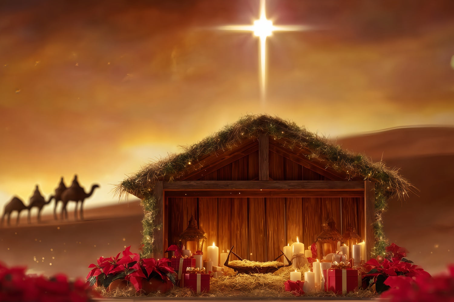 Krippen-Hintergrund Krippenstern W¨¹stengl¨¹hen Weihnachtsfoto-Hintergr¨¹nde TWW510-91