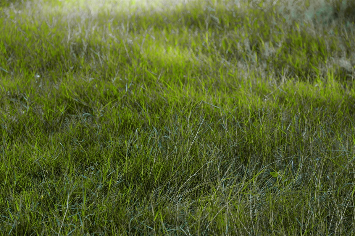 Floor Backdrops Morgenlicht Feld Floor Backdrop TWW57-30