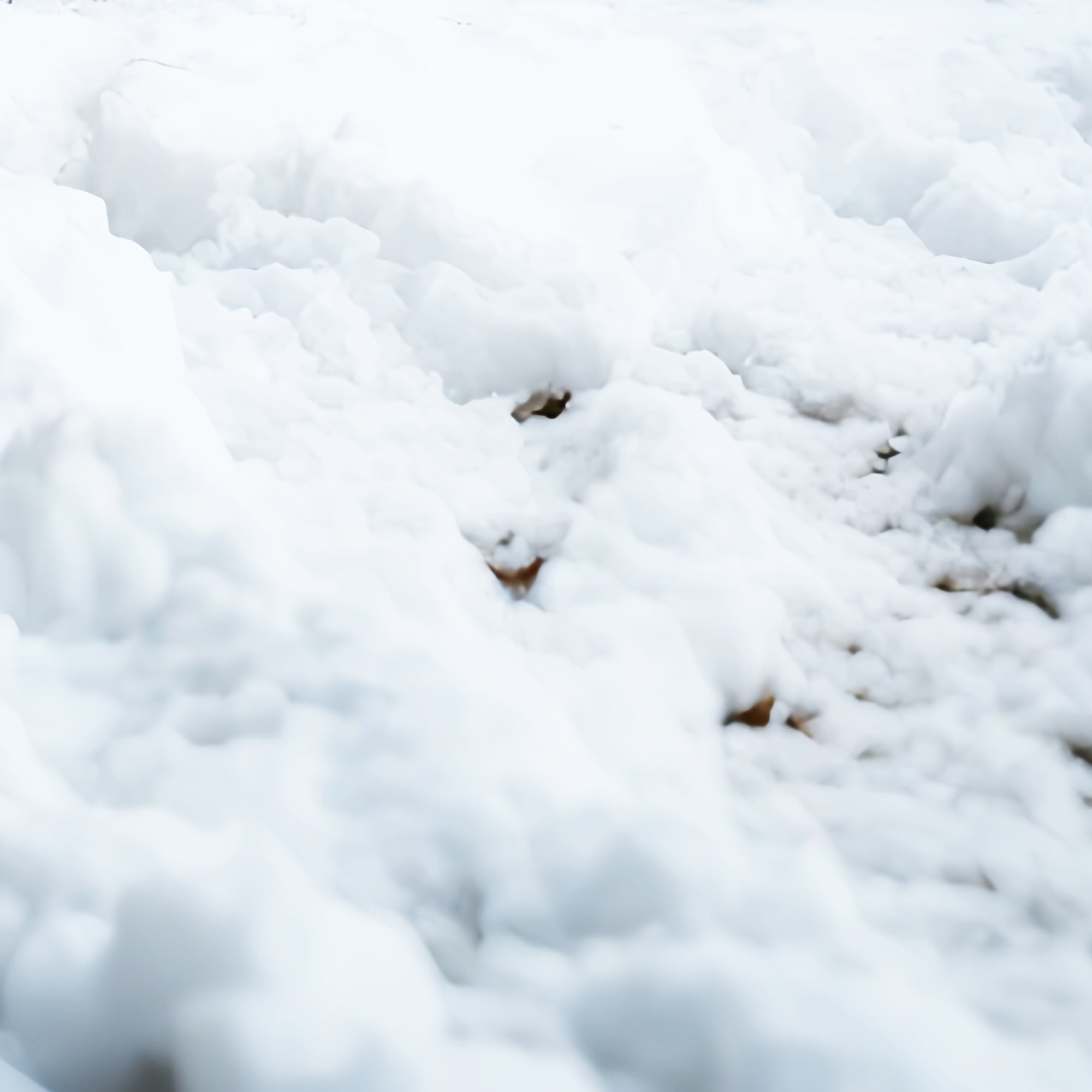 Schnee Boden Backdrop Reinweißer Winter Boden Backdrop TWW57-32