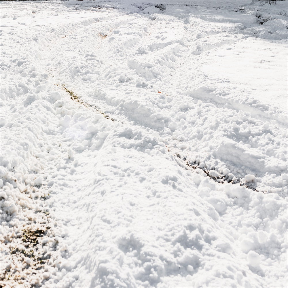 Schnee Boden Backdrop Winter Reifenspuren Boden Backdrop TWW57-34