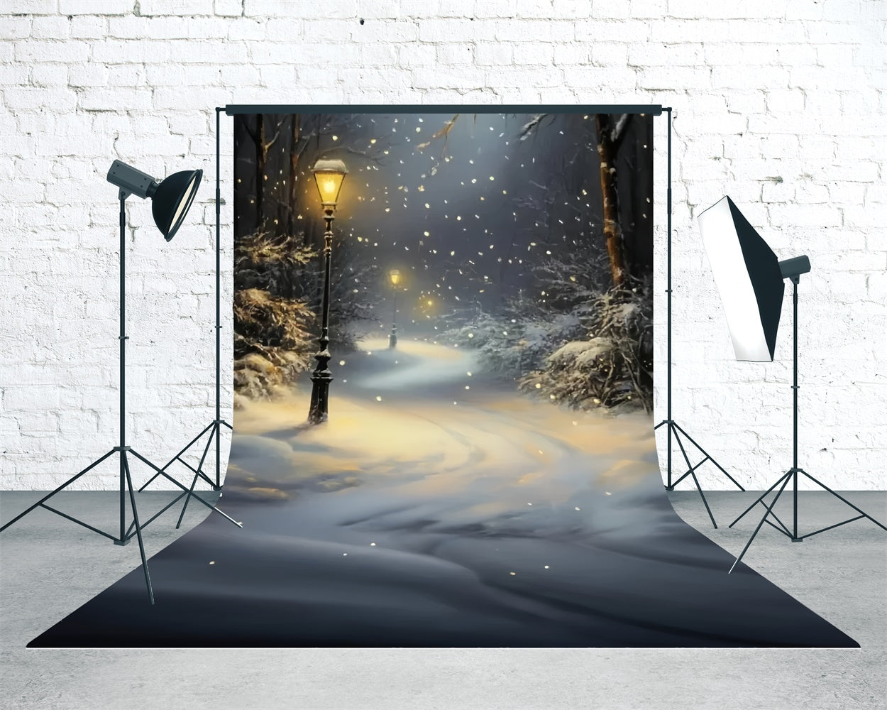 Winter Forest Backdrop Schneefall Laterne Pfad Sweep Backdrop TWW57-85