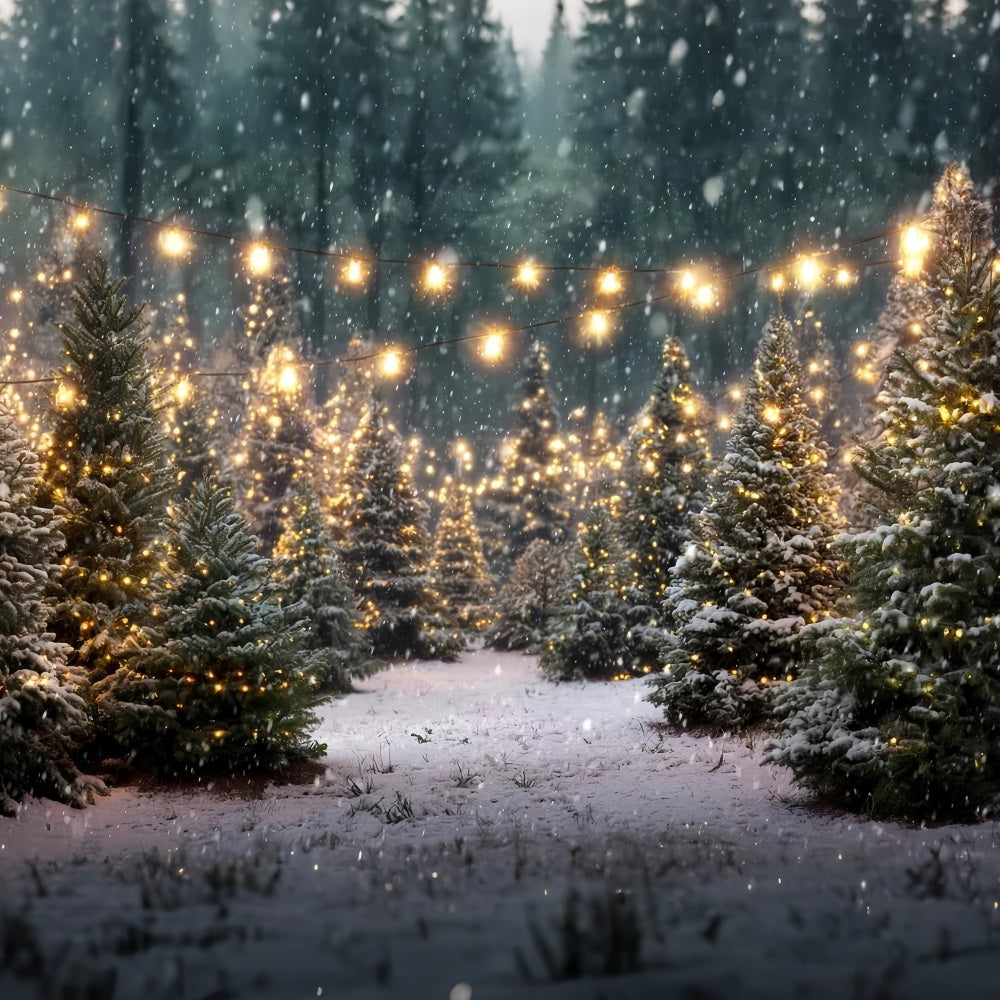 Weihnachtsbauernhof Fotohintergrund Funkelnde Waldlichter Weihnachtsbaum Fotohintergrund TWW59-116