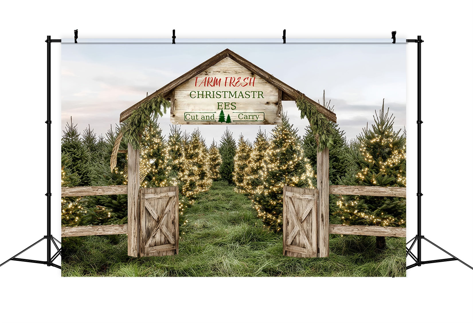 Weihnachtsbauernhof Fotohintergrund Bauernhof Frischer immergrüner Weg Professionelle Weihnachtshintergründe TWW59-124