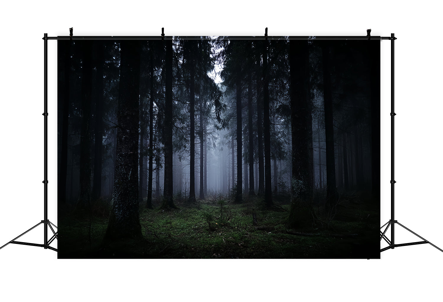 Gruseliger Wald-Fotohintergrund Dunkler nebliger Kiefernwald Dunkler Wald-Fotohintergrund TWW59-132