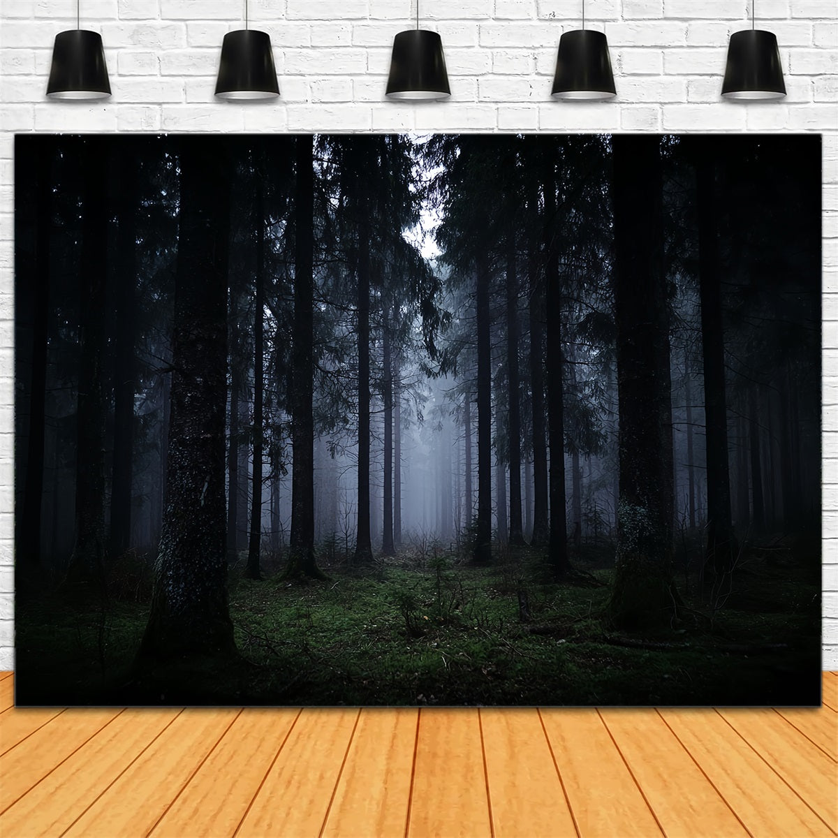 Gruseliger Wald-Fotohintergrund Dunkler nebliger Kiefernwald Dunkler Wald-Fotohintergrund TWW59-132