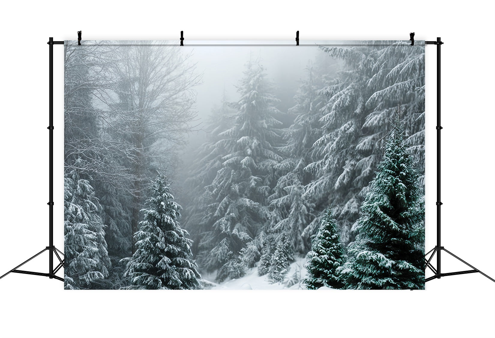 Winterwald-Fotohintergrund Frostiger immergrüner Wald Stille Schneewald-Fotohintergrund TWW59-134