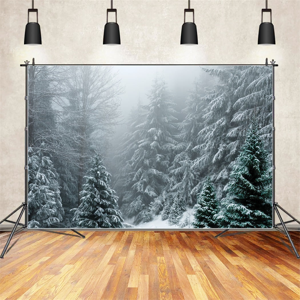 Winterwald-Fotohintergrund Frostiger immergrüner Wald Stille Schneewald-Fotohintergrund TWW59-134