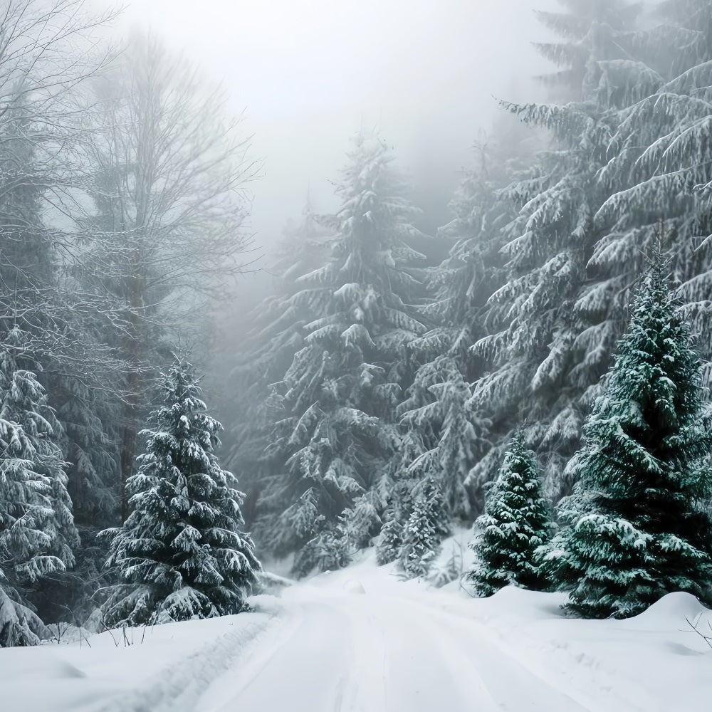 Winterwald-Fotohintergrund Frostiger immergrüner Wald Stille Schneewald-Fotohintergrund TWW59-134