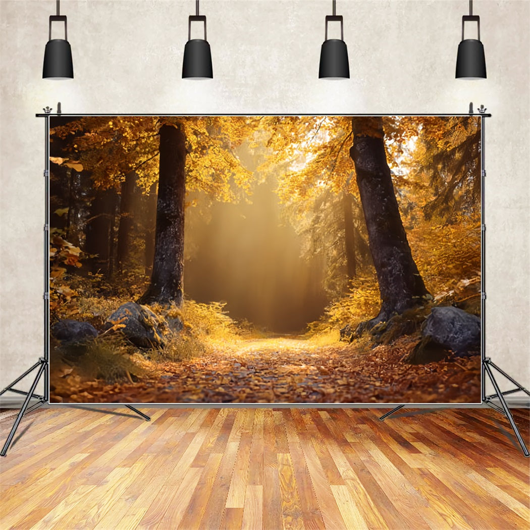 Herbstwald-Fotohintergrund Goldener Herbst Sonniger Waldweg Waldhintergründe TWW59-138