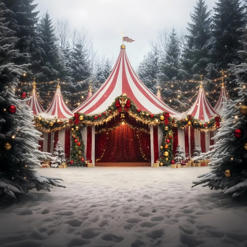 Karnevalszelt-Fotohintergrund Weihnachtsgirlande Festliches Zelt Fotografie Zirkus-Fotohintergrund TWW59-14