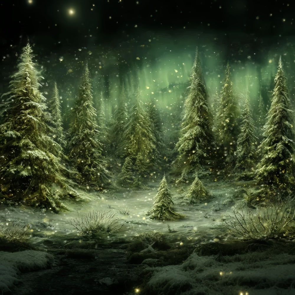 Kiefernwald-Fotohintergrund Verschneite Bäume Nordlichter Verschneiter Wald-Fotohintergrund TWW59-143