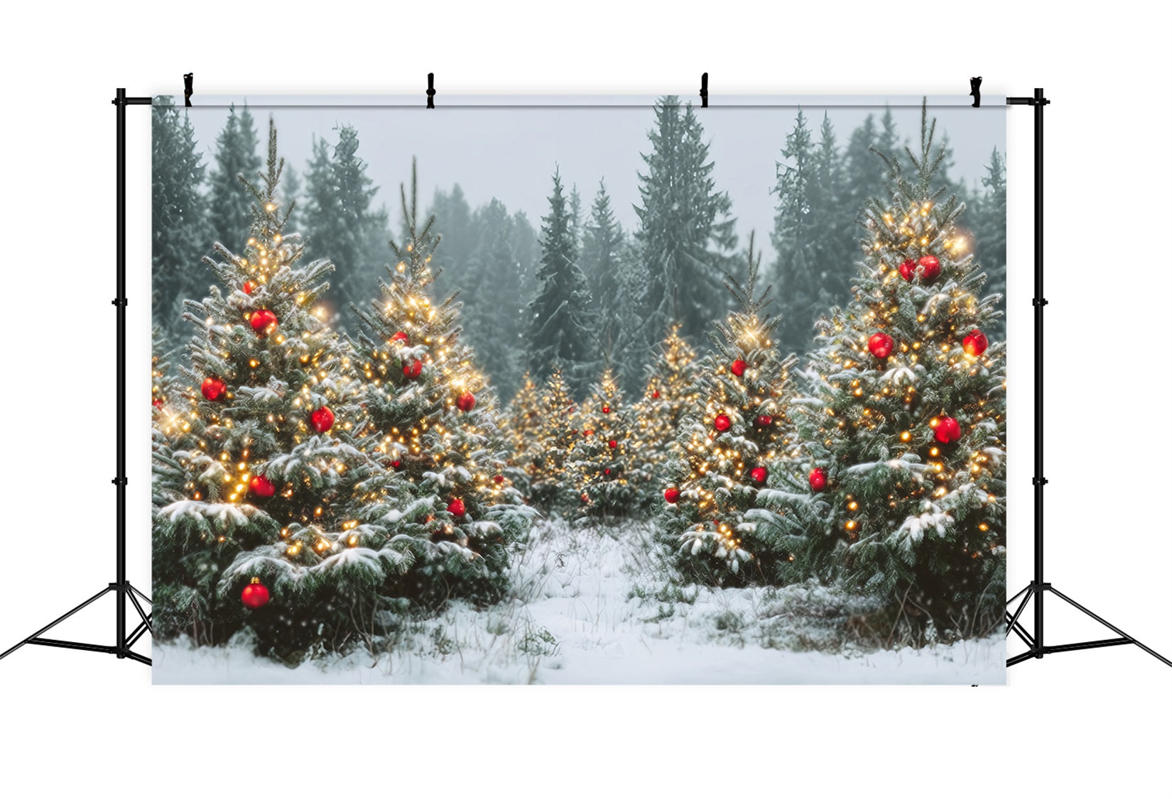 Weihnachtswald-Fotohintergrund Schneebedeckte Bäume Goldene Ornamente Kiefernwald-Fotohintergrund TWW59-147