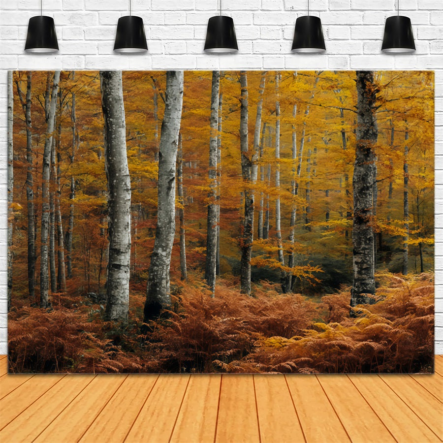 Herbstwald-Fotohintergrund Goldener Herbst Birkenwald Waldszene-Fotohintergrund TWW59-149