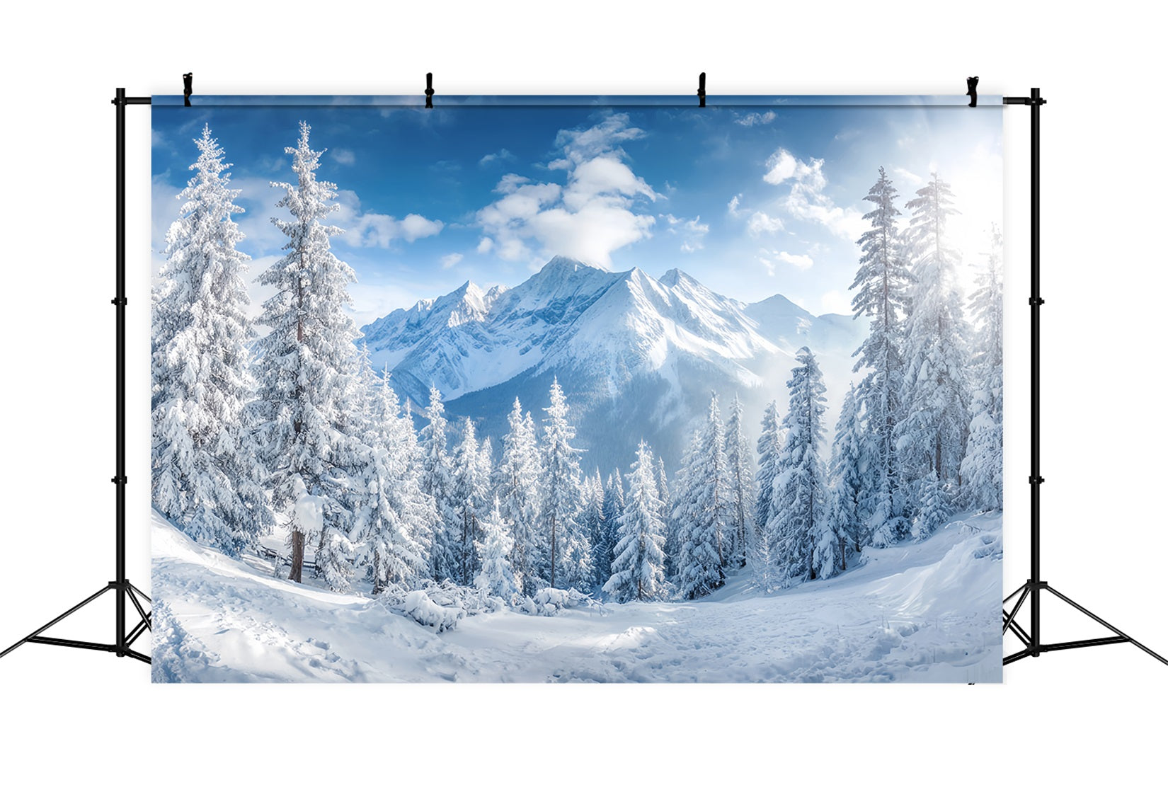 Verschneiter Waldfotohintergrund Winterberge Kieferntal Waldfotohintergrund TWW59-153
