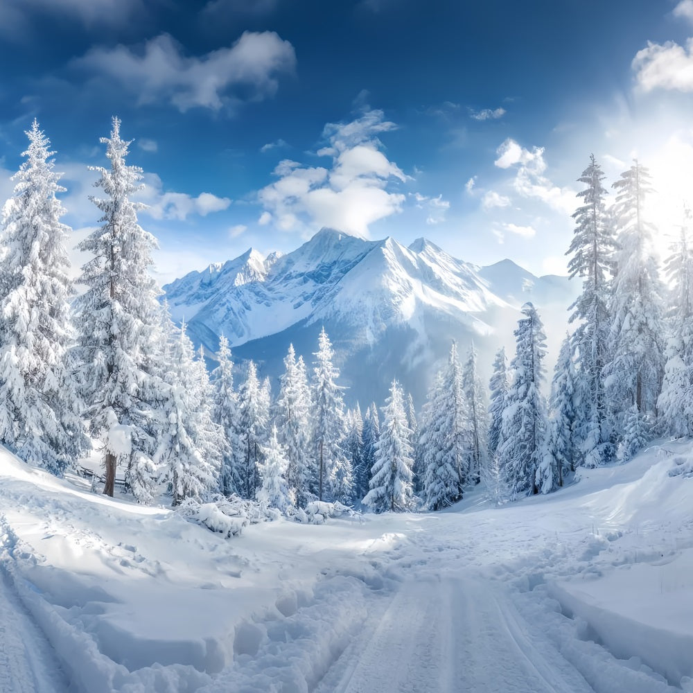 Verschneiter Waldfotohintergrund Winterberge Kieferntal Waldfotohintergrund TWW59-153