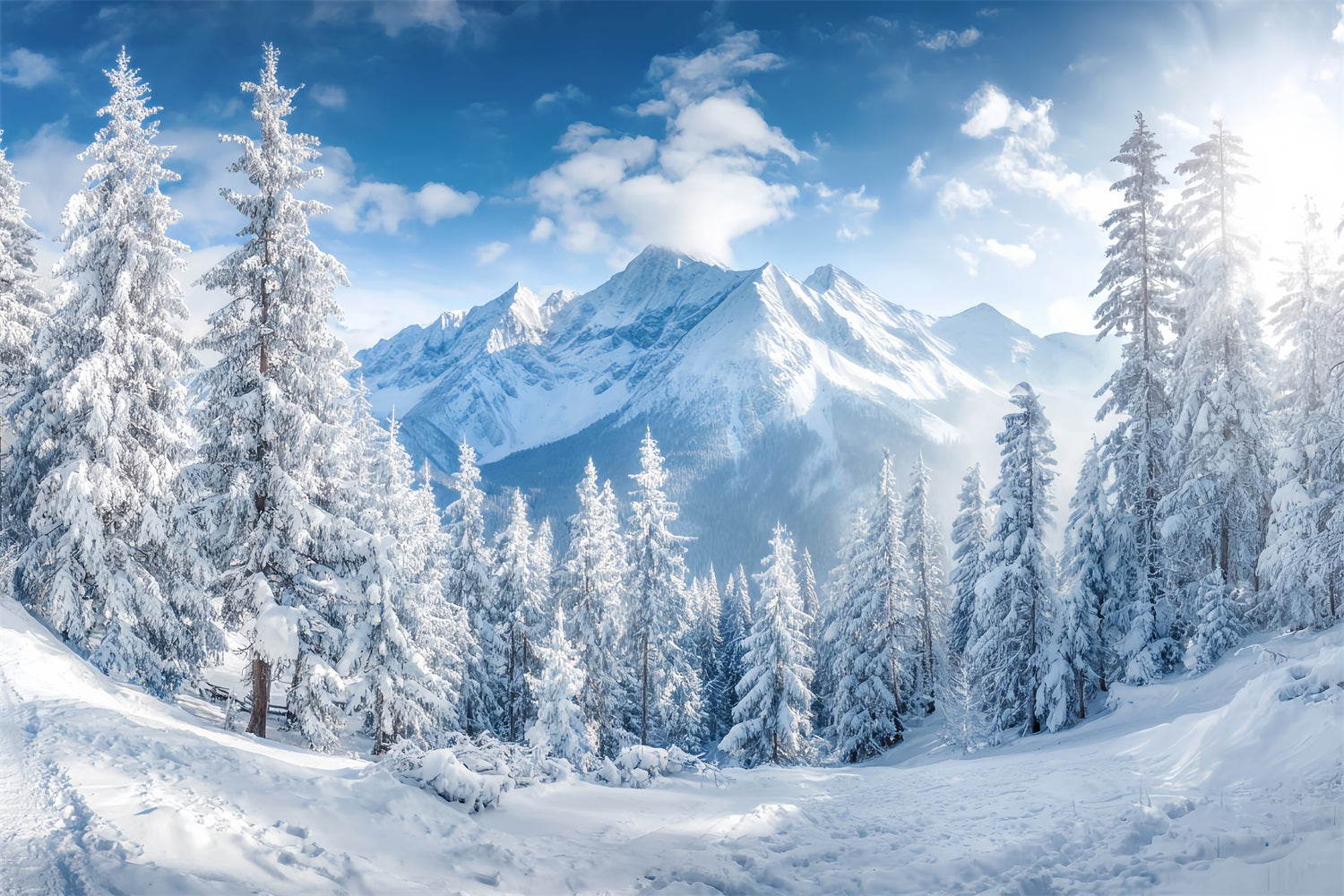 Verschneiter Waldfotohintergrund Winterberge Kieferntal Waldfotohintergrund TWW59-153