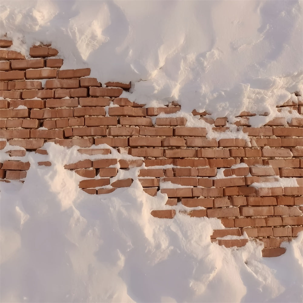 Ziegelwand-Fotohintergrund Schneebedeckte rustikale Ziegelwand-Fotohintergrund TWW59-160