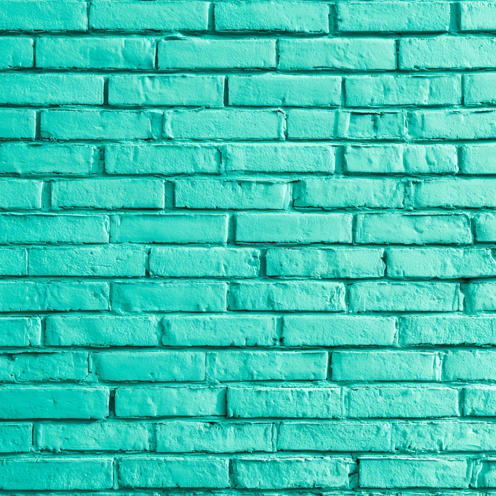 Ziegelsteinwand-Fotohintergrund Hellblaue Wand Ziegelstein-Fotohintergrund TWW59-166