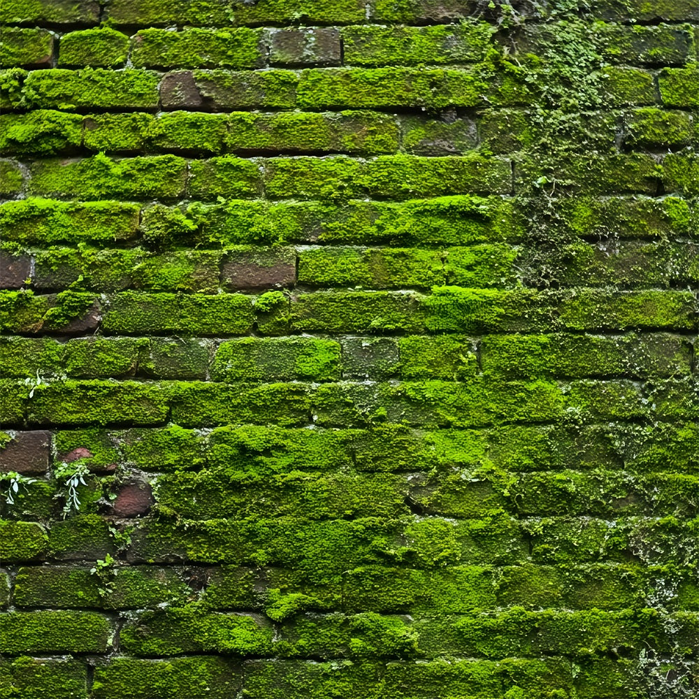 Ziegelsteinwand-Studiohintergründe Grünes Moos Vintage-Wand Ziegelstein-Fotohintergrund TWW59-185