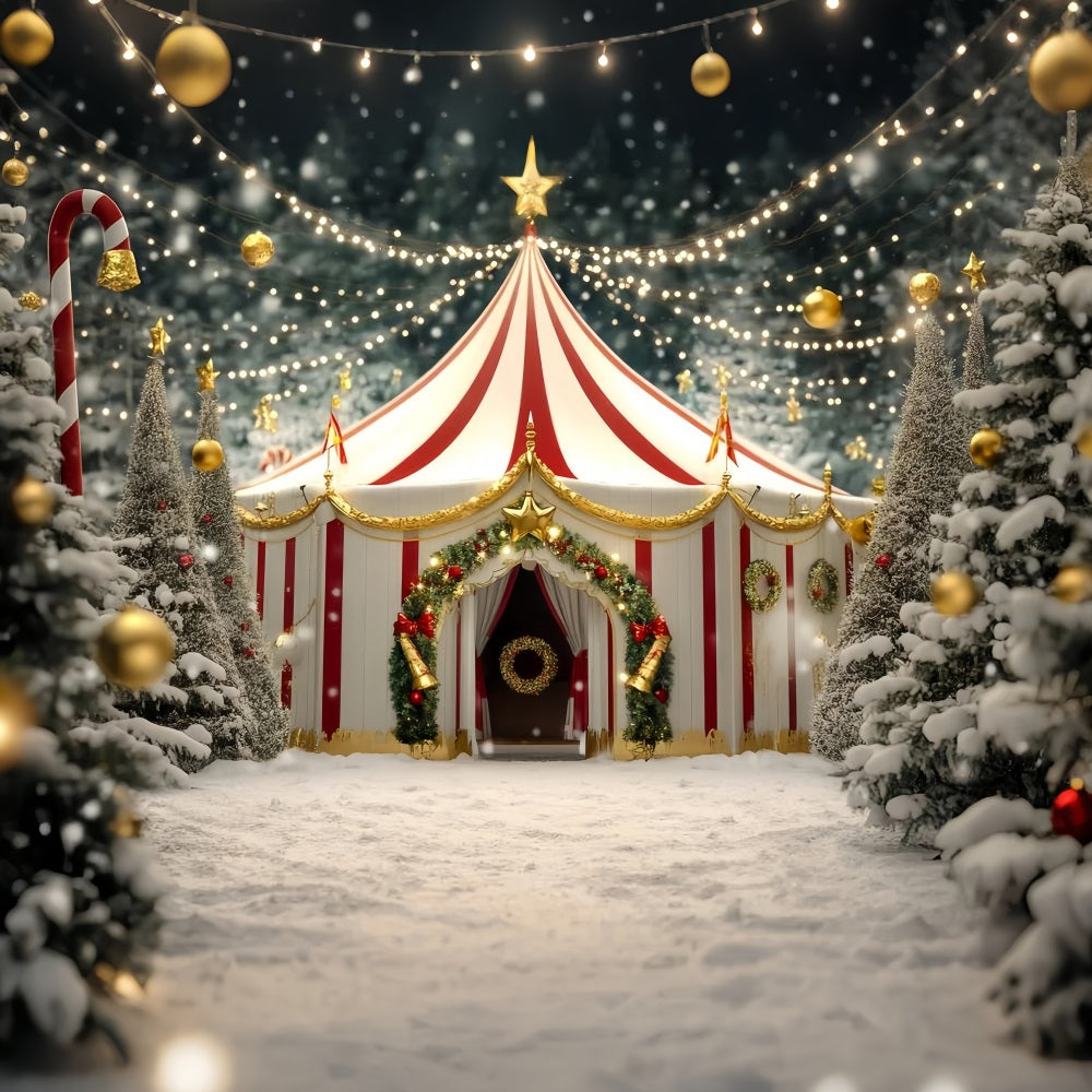 Weihnachtszirkus-Fotohintergrund Goldener Stern Festliches Zirkuszelt Karnevalsfotohintergrund TWW59-32