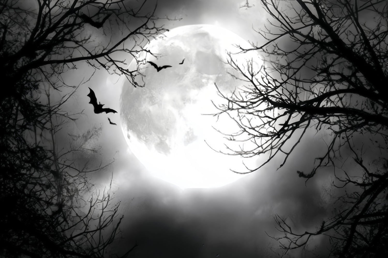 Halloween-Mond-Fotohintergrund Vollmond Fliegende Fledermäuse Halloween-Fotografie-Fotohintergrund TWW59-67