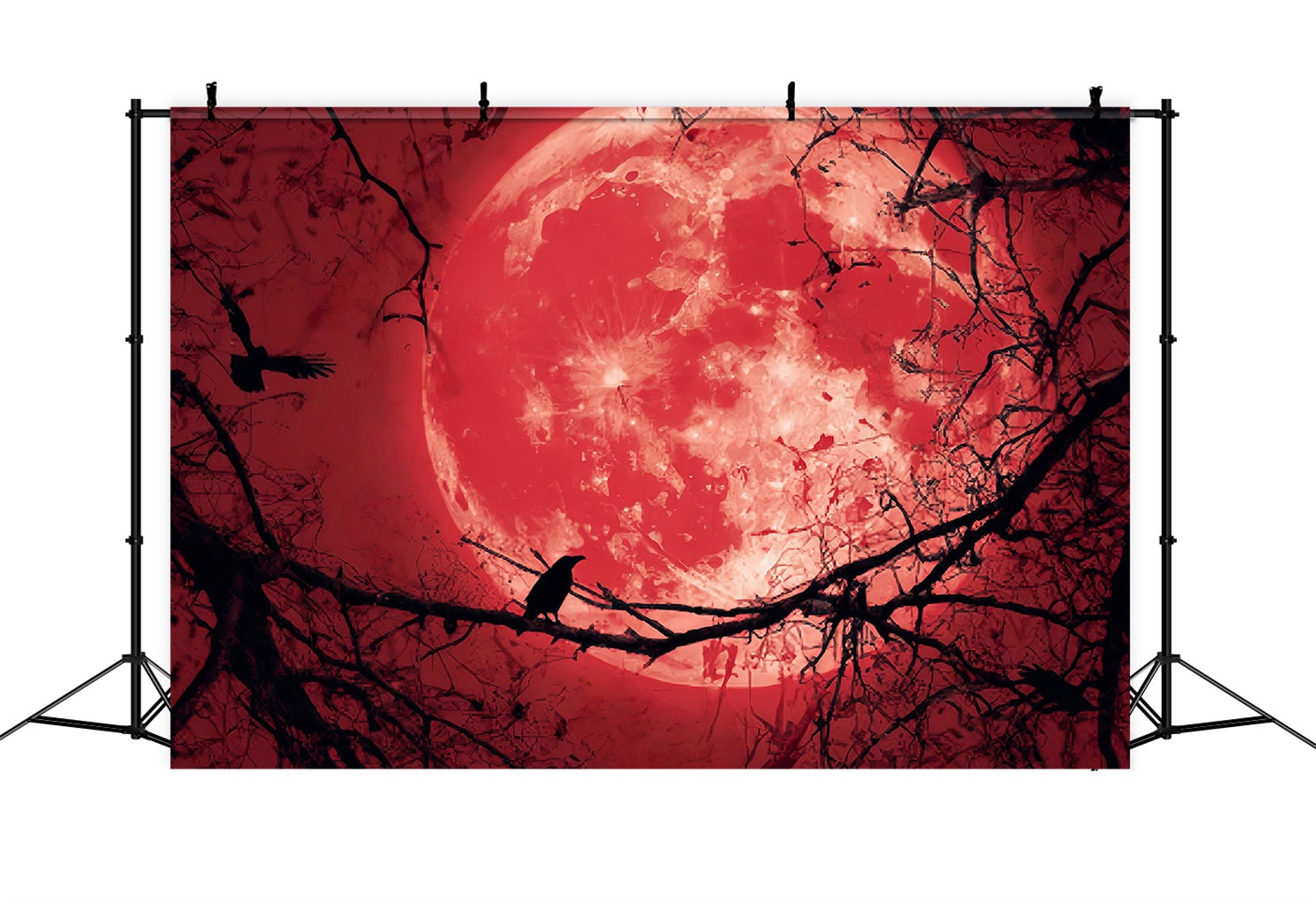 Halloween-Mond-Fotohintergrund Blutiger Mond Raben-Silhouette Halloween-Hintergründe TWW59-83
