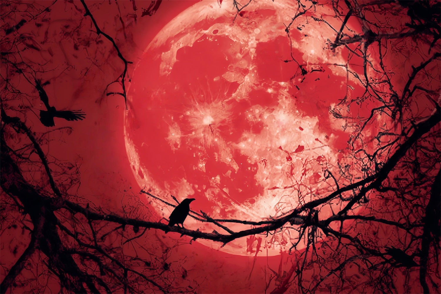Halloween-Mond-Fotohintergrund Blutiger Mond Raben-Silhouette Halloween-Hintergründe TWW59-83