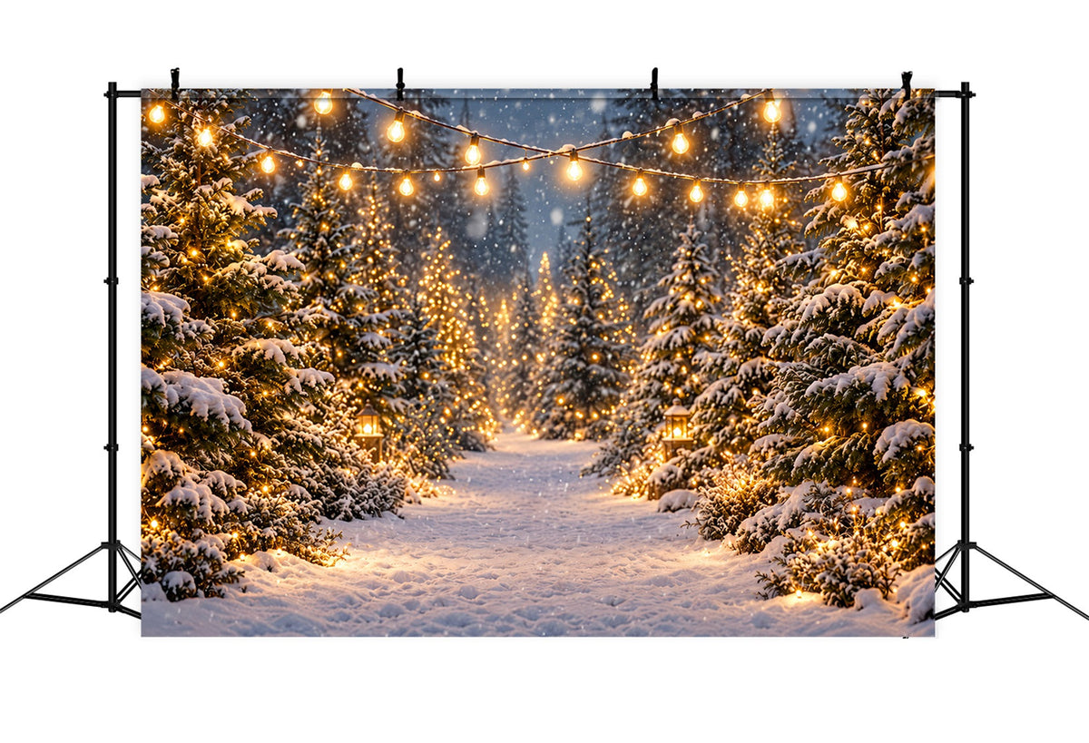 Weihnachtsbaumfarm-Hintergrund Leuchtender Verschneiter Waldweg ZTT610-46