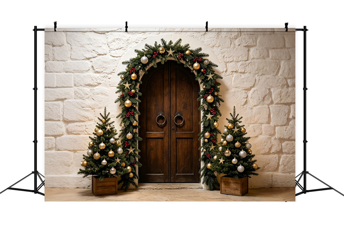 Einfacher Weihnachtshintergrund Steinbogen-Girlandeneingang Weihnachtsfotohintergrund ZTT69-14