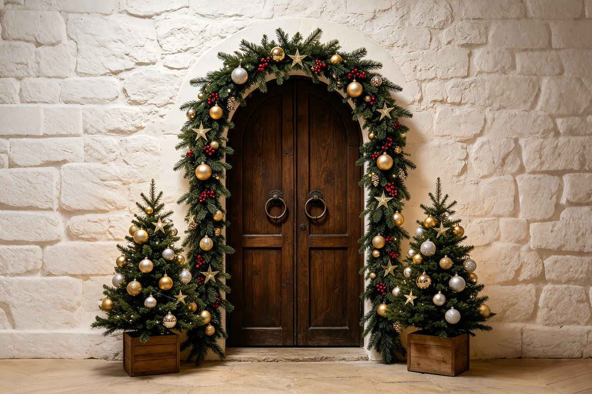 Einfacher Weihnachtshintergrund Steinbogen-Girlandeneingang Weihnachtsfotohintergrund ZTT69-14