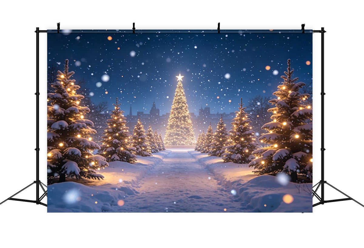 Weihnachtsbaum-Hintergrund Lichtpfad Im Verschneiten Wald Weihnachts-Fotohintergründe ZTT69-15