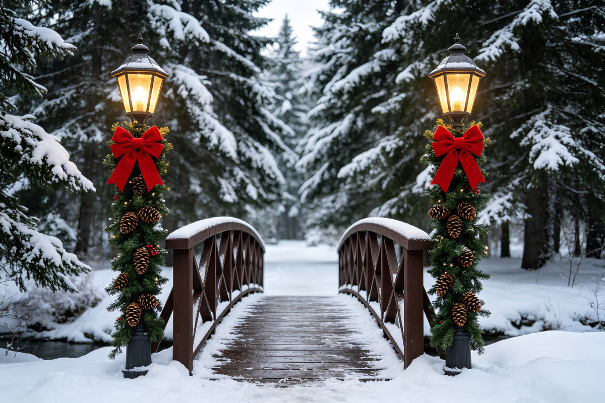 Winterliche Weihnachtskulisse Laternenweg Über Die Verschneite Brücke Weihnachts-Studiohintergründe ZTT69-36