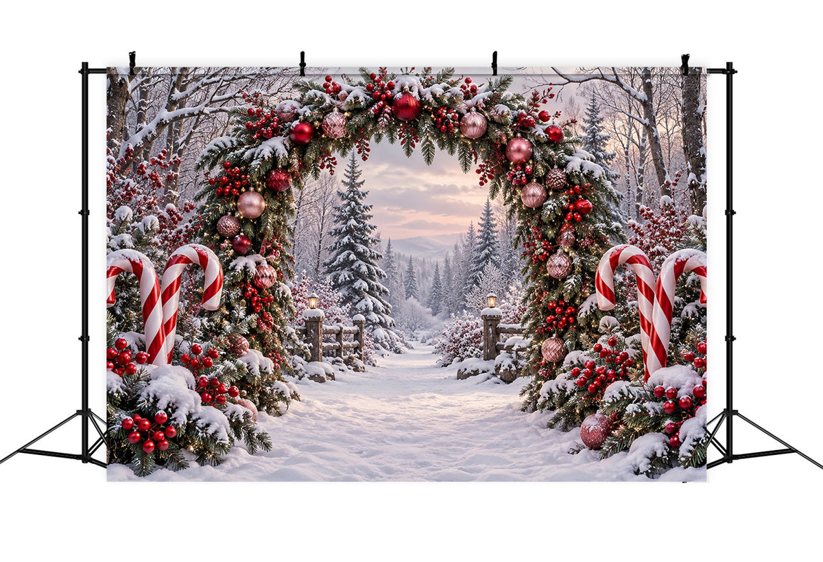 Weihnachtlicher Hintergrund Verschneiter Wald Zuckerstangenbogen ZTT69-63