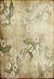 Vintage White Flowers Green Leaves  Backdrop for Photography GA-63