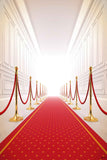 Red Carpet Backdrops Party Background Wall Backdrop