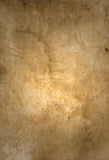 Gedruckte alte Meister Kamelfarbe Hintergrundwand für Fotografie CS-2888