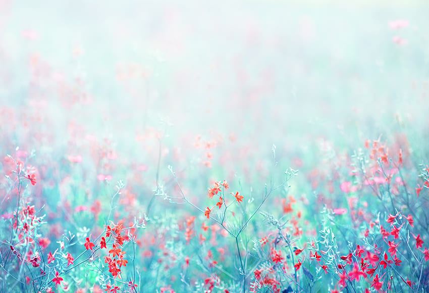 Blooming Wild Flowers Turquoise Blue Backdrop