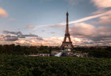 Paris Eiffel Tower City Landscape Backdrop for Photography D119