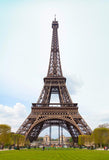 Paris Eiffel Tower Square Landmark Photography Backdrop  D124