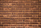Vintage Old Damaged Brick Wall Backdrop for Photo Booth D134